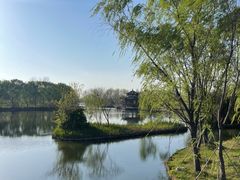 -溱湖国家湿地公园