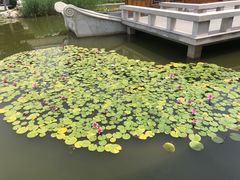 -南普公园
