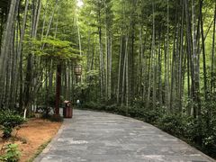 -天目湖御水温泉·度假酒店