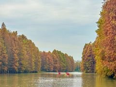 -上海海湾国家森林公园