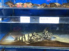 水产区-张树军海鲜(王府壹号店)