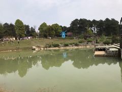 -铁山坪森林公园