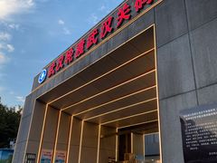 -武汉关码头(轮渡站)