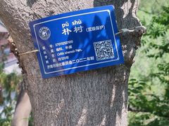 -四门塔风景区