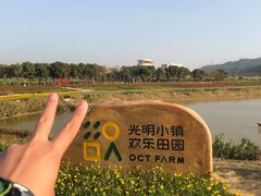 -光明小镇欢乐田园