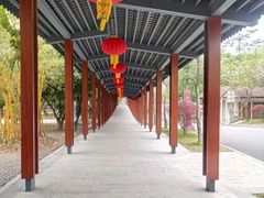 -南丹山森林王国