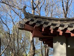 -莲花池公园