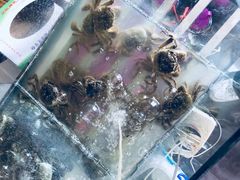 -呼吸森林·生态农庄农家乐私房菜