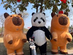 -盈香心动乐园