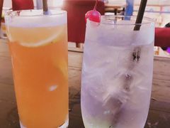 餐饮设施-猫咪博物馆(顶澳仔猫街店)