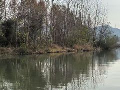 -白塔湖国家湿地公园