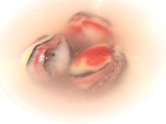 -峨嵋酒家(牡丹园店)