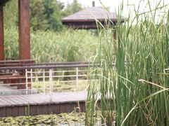 -同里国家湿地公园
