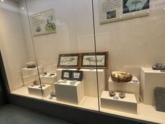 -安徽省地质博物馆