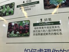 菜单-巴厘岛黄金金兔咖啡工厂
