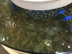 -台北A+A七喜饭店(德增街店)
