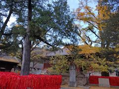 -红螺寺