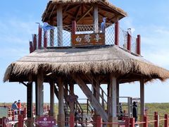 -北海金海湾红树林生态旅游区