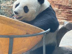 -石家庄市动物园