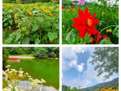 -武陵山森林公园