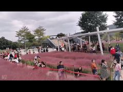 -牛岗山公园