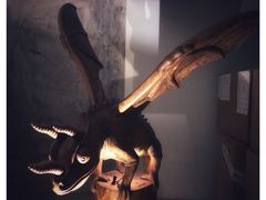 -北京三里屯CHAO酒店