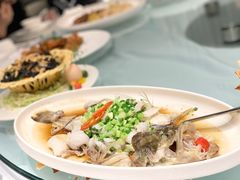 -千灯盛汇·头牌粤菜(致越优城店)