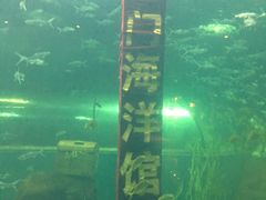 -洛阳龙门海洋馆