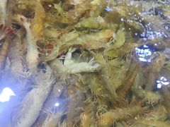 -聚盛源蒸汽海鲜火锅烤肉自助(巨川金海岸购物广场店)
