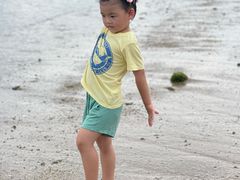 -临高角