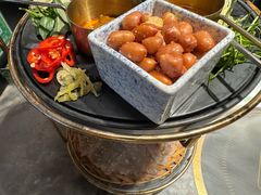 -禄婶鸡煲·打边炉