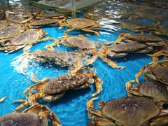 -宝燕海鲜(好爱店)