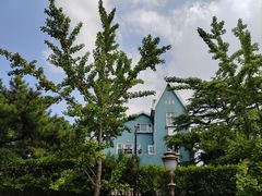 -八大关景区