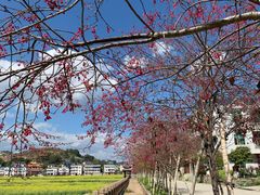 -成都恒博医院·全科检查