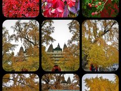 -北京石刻艺术博物馆(五塔寺)
