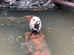 -长鹿旅游休博园