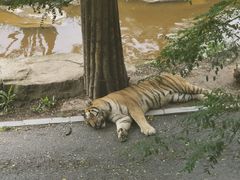 -大连森林动物园