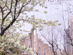 -徐家汇公园