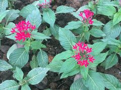 -艾溪湖湿地公园