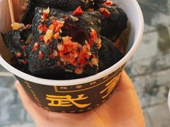 -武爹臭豆腐(坡子街店)