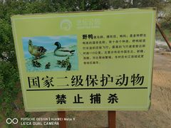 -大兴滨河森林公园