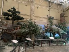 -国家自然博物馆