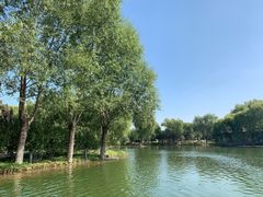 -石家庄市植物园
