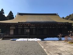 -西芳寺(苔寺)