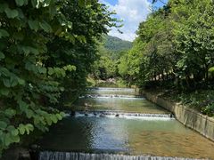 -广州白江湖森林公园