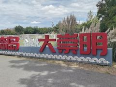 -上海长兴岛郊野公园