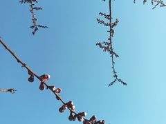 -麦当劳(济泺路店)