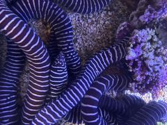 -波塞冬旅游度假区