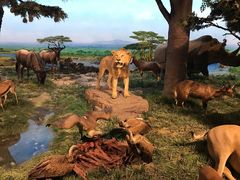 -国家自然博物馆