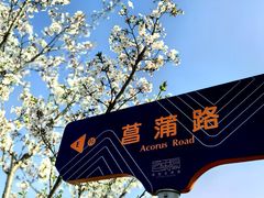 -菊园百果园